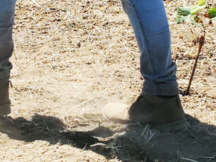 boots on dirt